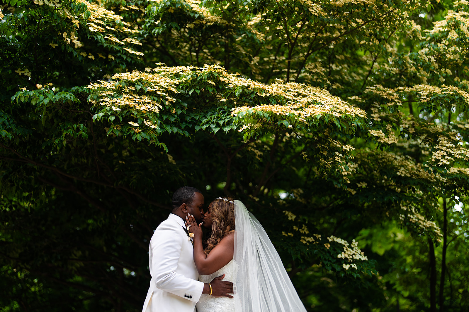 Couple kiss surrounded by garden greenery